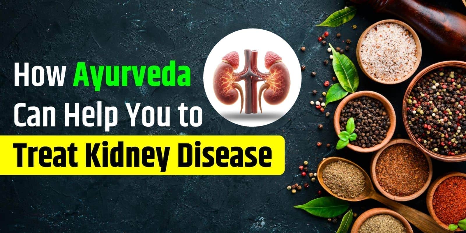 How Ayurveda Can Help You to Treat Kidney Disease